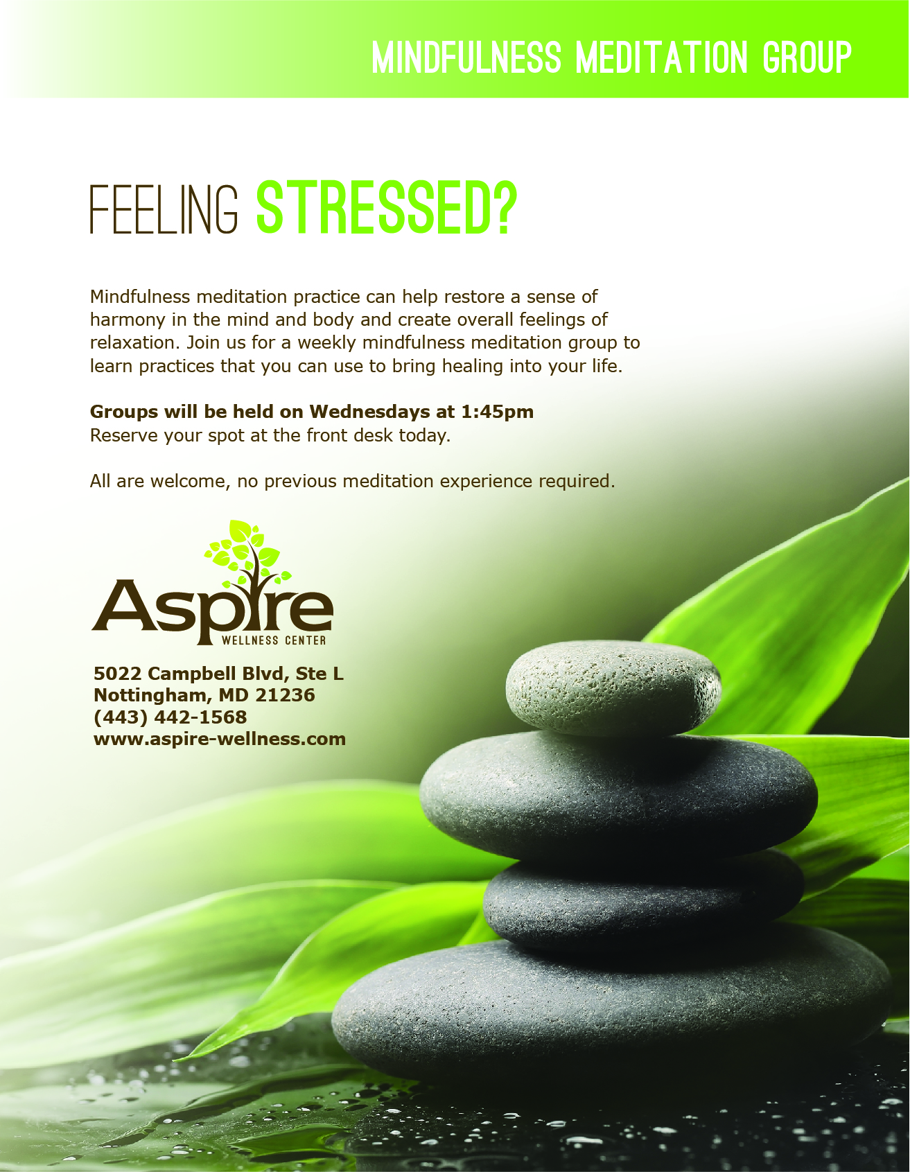 Aspire Wellness Group Flyers